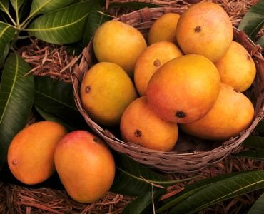 Mango & Natural Rubber