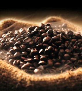 Mango & Avocados Hass